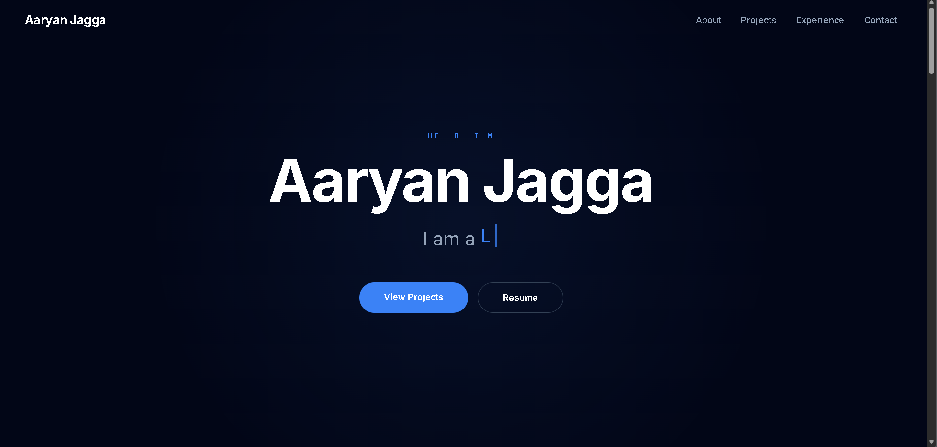 Developer Portfolio Website